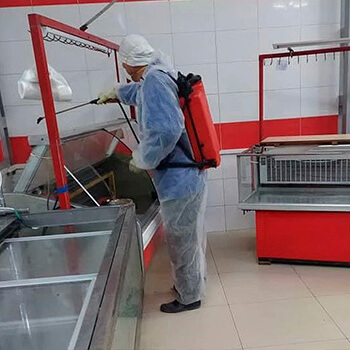 Дезинфекция помещений и оборудования на предприятиях общественного питания